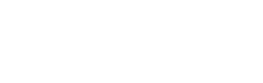 Sports Bibs